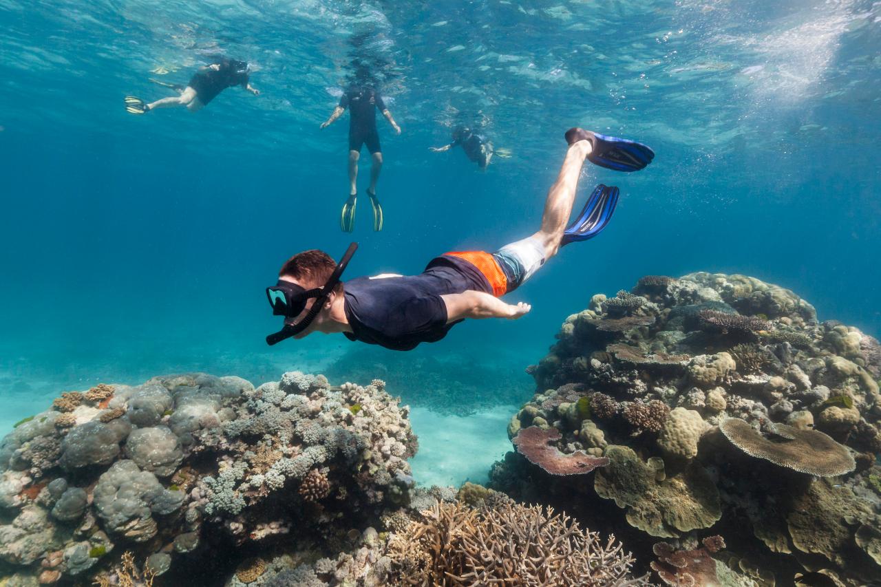 SNORKEL LAGOON ROSE ISLAND & BEACH DAY -  GROUP TOUR - COMING SOON!