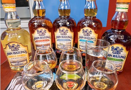 NASSAU HISTORIC ATV & BUGGY TOUR