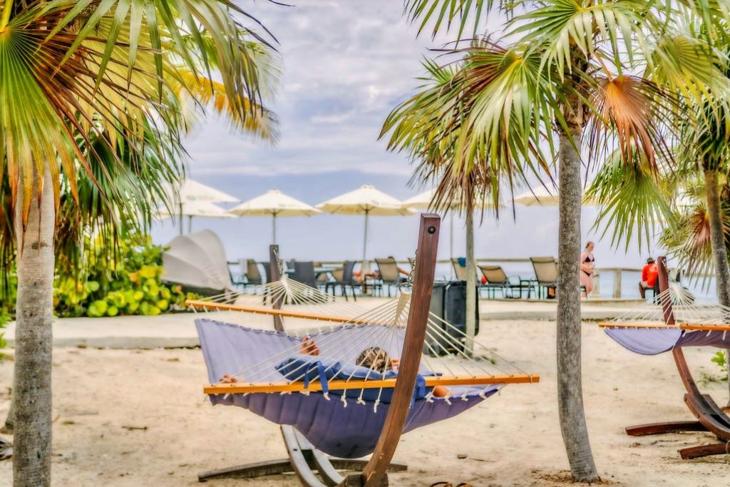 THE ORIGINAL SWIMMING PIGS OF ROSE ISLAND & BEACH DAY - GROUP TOUR 
