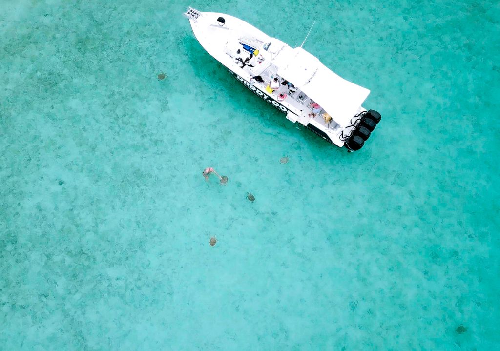 PINK SAND & SWIMMING PIGS HARBOUR ISLAND GROUP TOUR 