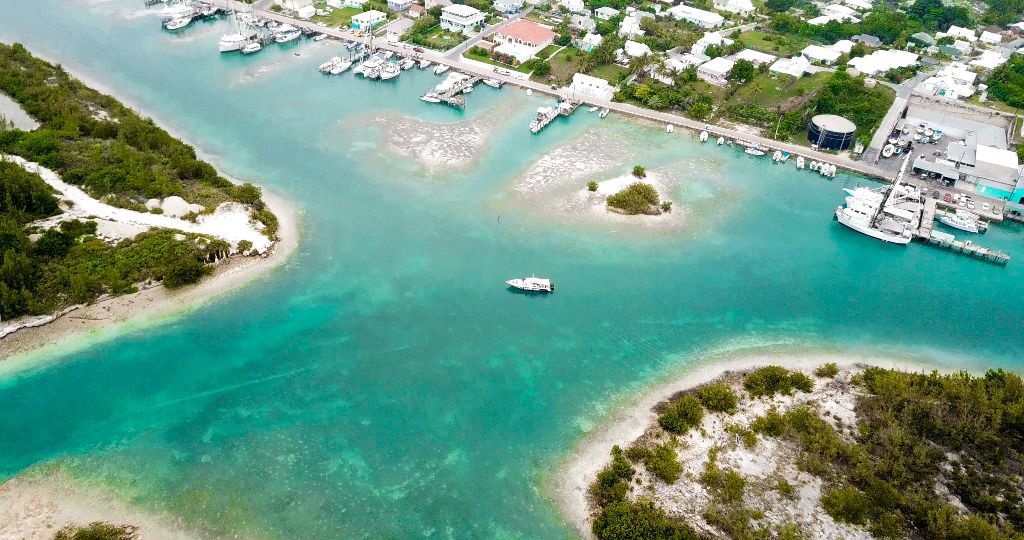 PINK SAND & SWIMMING PIGS HARBOUR ISLAND GROUP TOUR 
