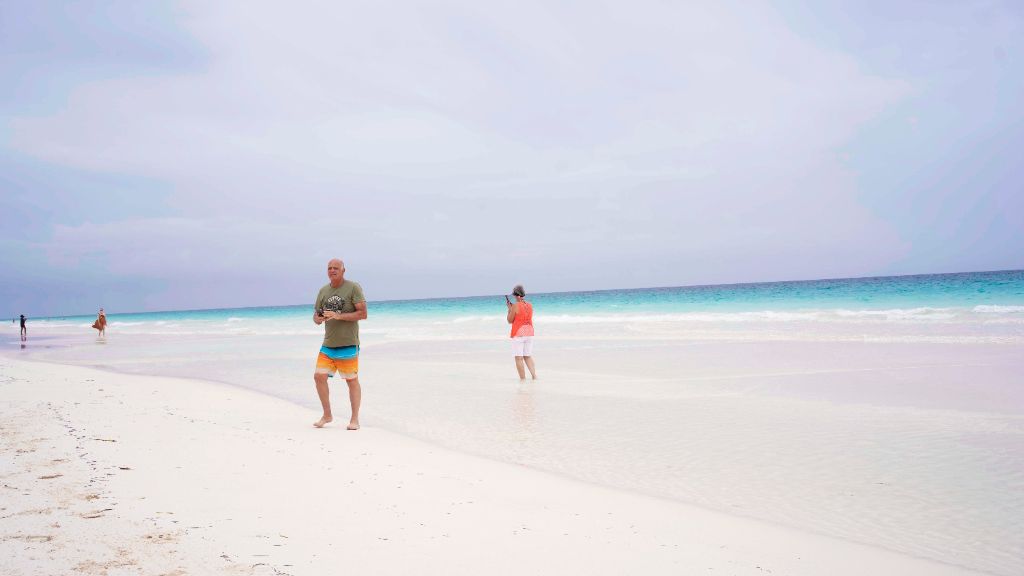 PINK SAND & SWIMMING PIGS HARBOUR ISLAND GROUP TOUR 