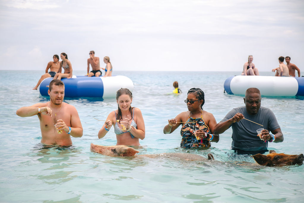 THE SWIMMING PIGS OF ROSE ISLAND & BEACH DAY -  GROUP TOUR 