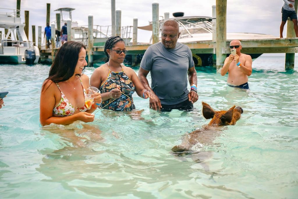 THE ORIGINAL SWIMMING PIGS OF ROSE ISLAND & BEACH DAY - GROUP TOUR 