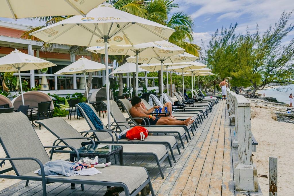 THE ORIGINAL SWIMMING PIGS OF ROSE ISLAND & BEACH DAY - GROUP TOUR 