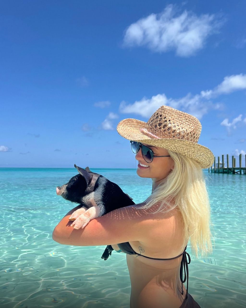 ROSE ISLAND SWIMMING PIGS & BEACH SNORKELING EXPERIENCE - GROUP TOUR