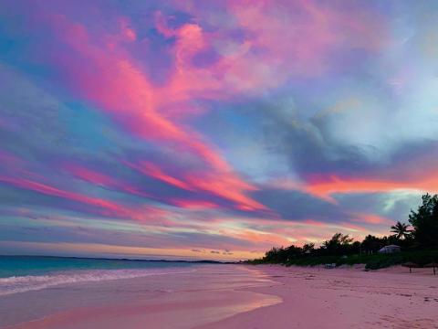 PINK SAND & SWIMMING PIGS HARBOUR ISLAND GROUP TOUR 