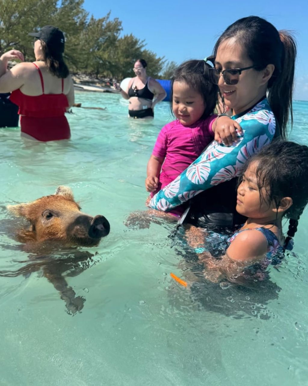 ROSE ISLAND SWIMMING PIGS & BEACH SNORKELING EXPERIENCE - GROUP TOUR
