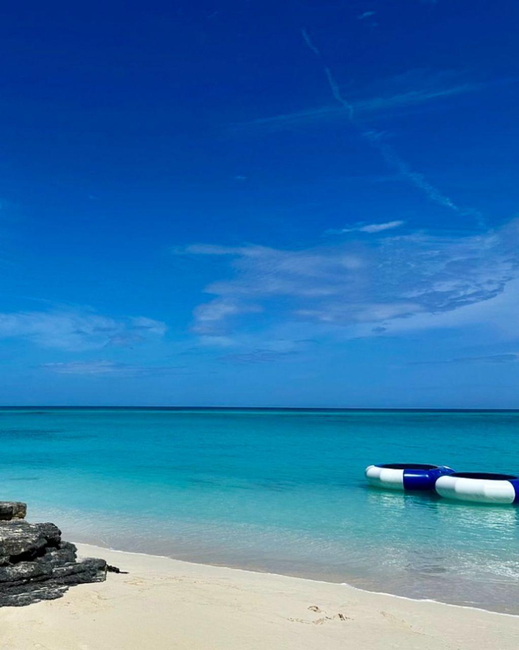 ROSE ISLAND SWIMMING PIGS & BEACH SNORKELING EXPERIENCE - GROUP TOUR