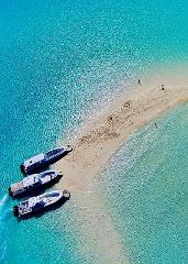 FLY TO THE EXUMA SWIMMING PIGS - PRIVATE 9 SEATER PLANE TOUR NASSAU TO STANIEL CAY