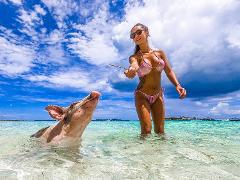 SWIMMING PIGS OF ATHOL ISLAND EXPRESS 1.5HR WATER TAXI NASSAU BAHAMAS