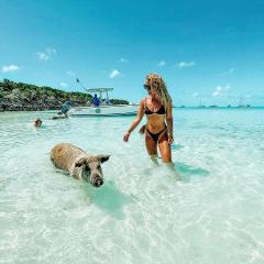 FULL DAY EXUMA SWIMMING PIGS - GROUP BOAT TOUR FROM NASSAU