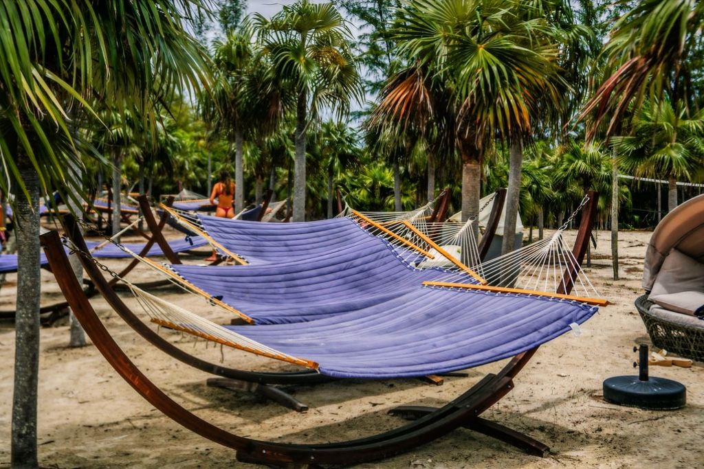 THE ORIGINAL SWIMMING PIGS OF ROSE ISLAND & BEACH DAY - GROUP TOUR 