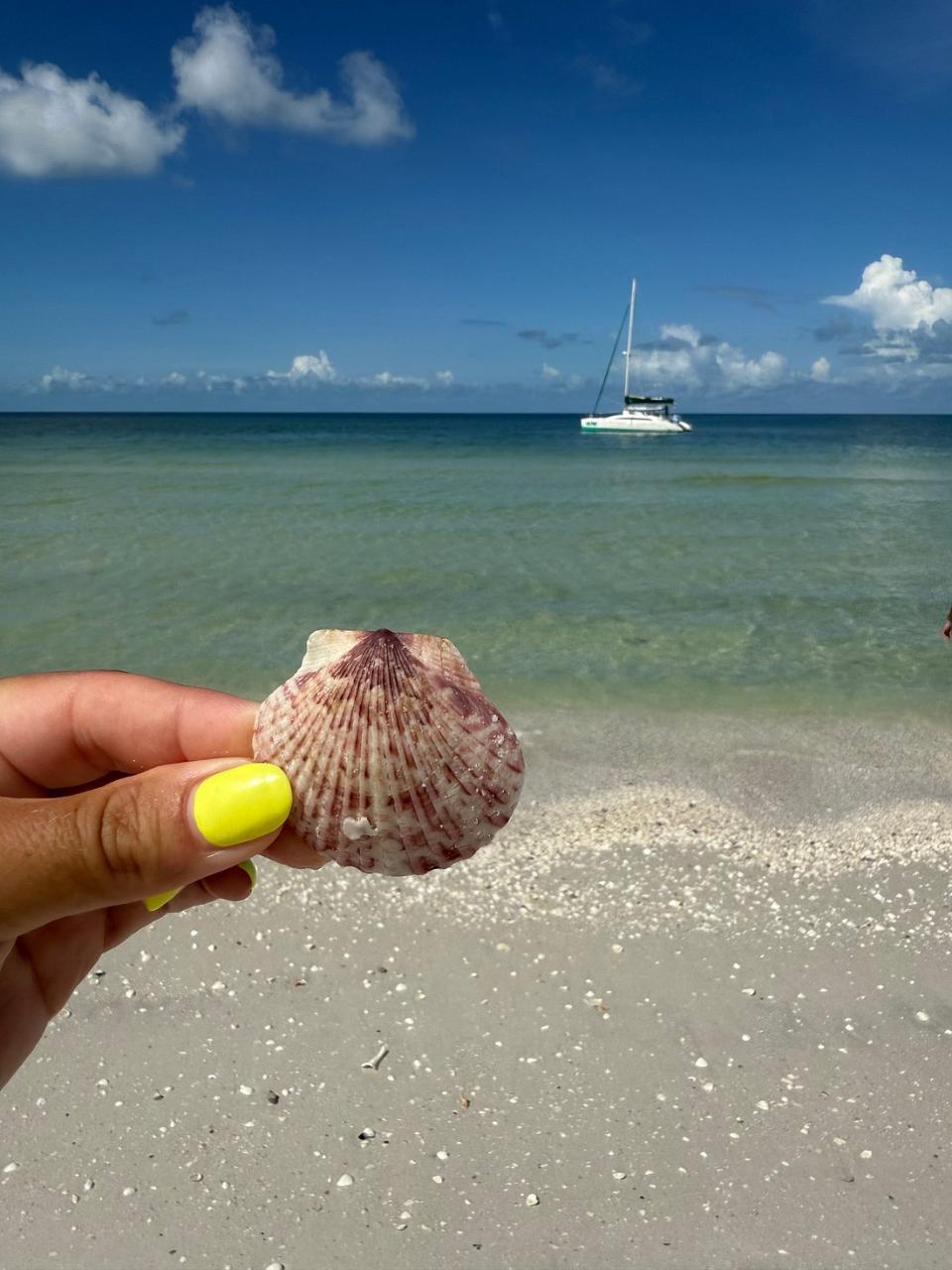 SUNSET SAILING &  SIGHTSEEING CATAMARAN EXCURSION | NAPLES, FLORIDA