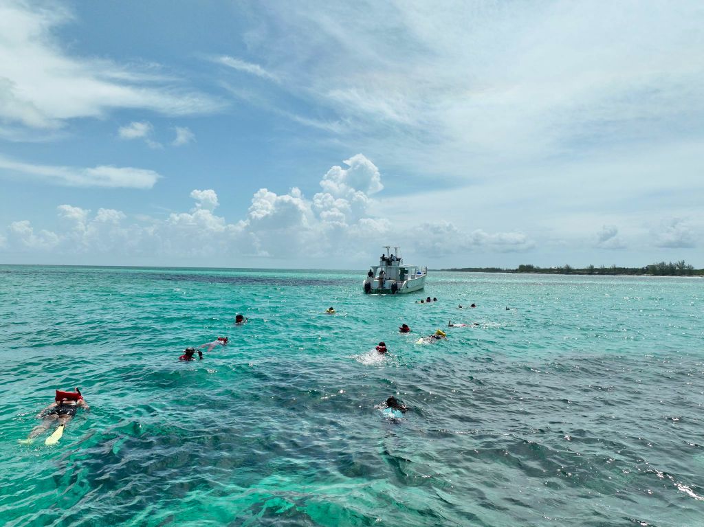 ROSE ISLAND SWIMMING PIGS & BEACH SNORKELING EXPERIENCE - GROUP TOUR