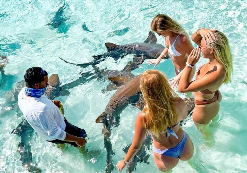 THE NURSE SHARKS OF ROSE ISLAND & BEACH DAY -  GROUP TOUR - COMING SOON!