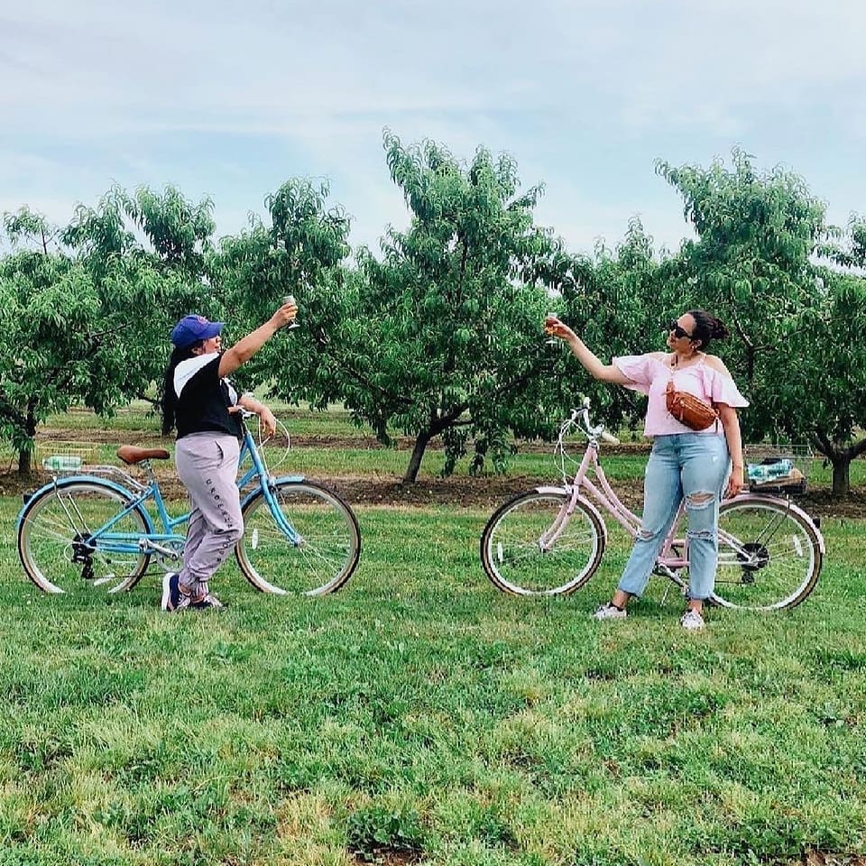 Tour de Vine Bicycle & Ebike Rentals in Beautiful NiagaraontheLake