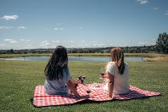 Picnic in the Pasture