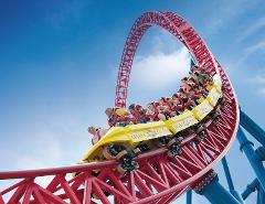 Theme Park Transfers