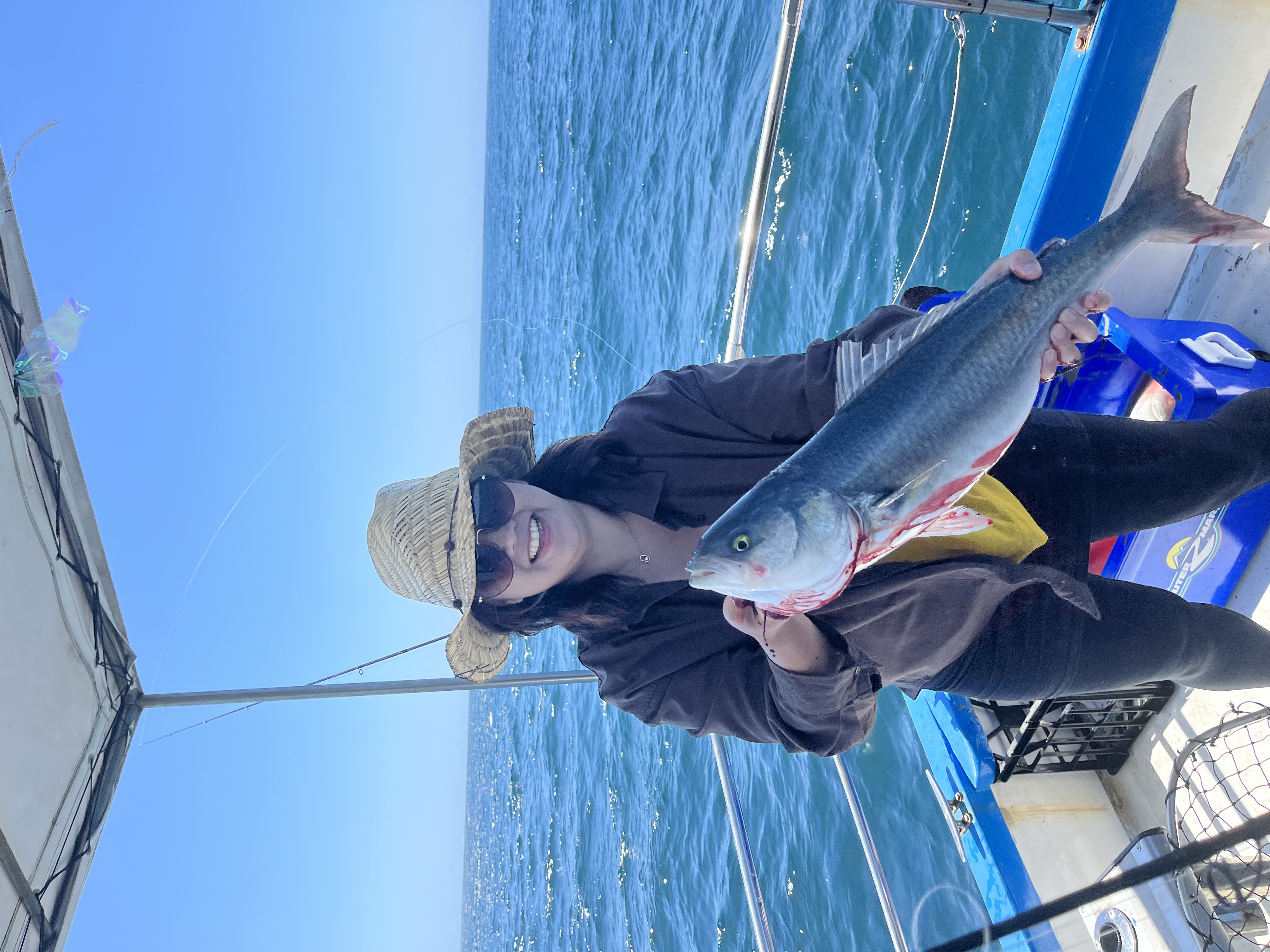 Full day reef and sport fishing