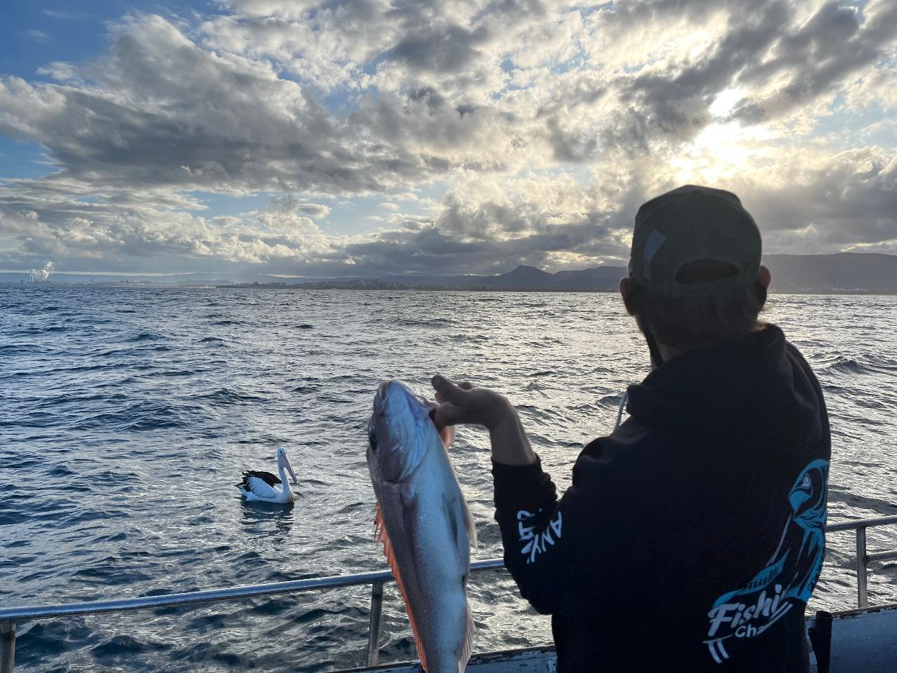 Full day reef and sport fishing