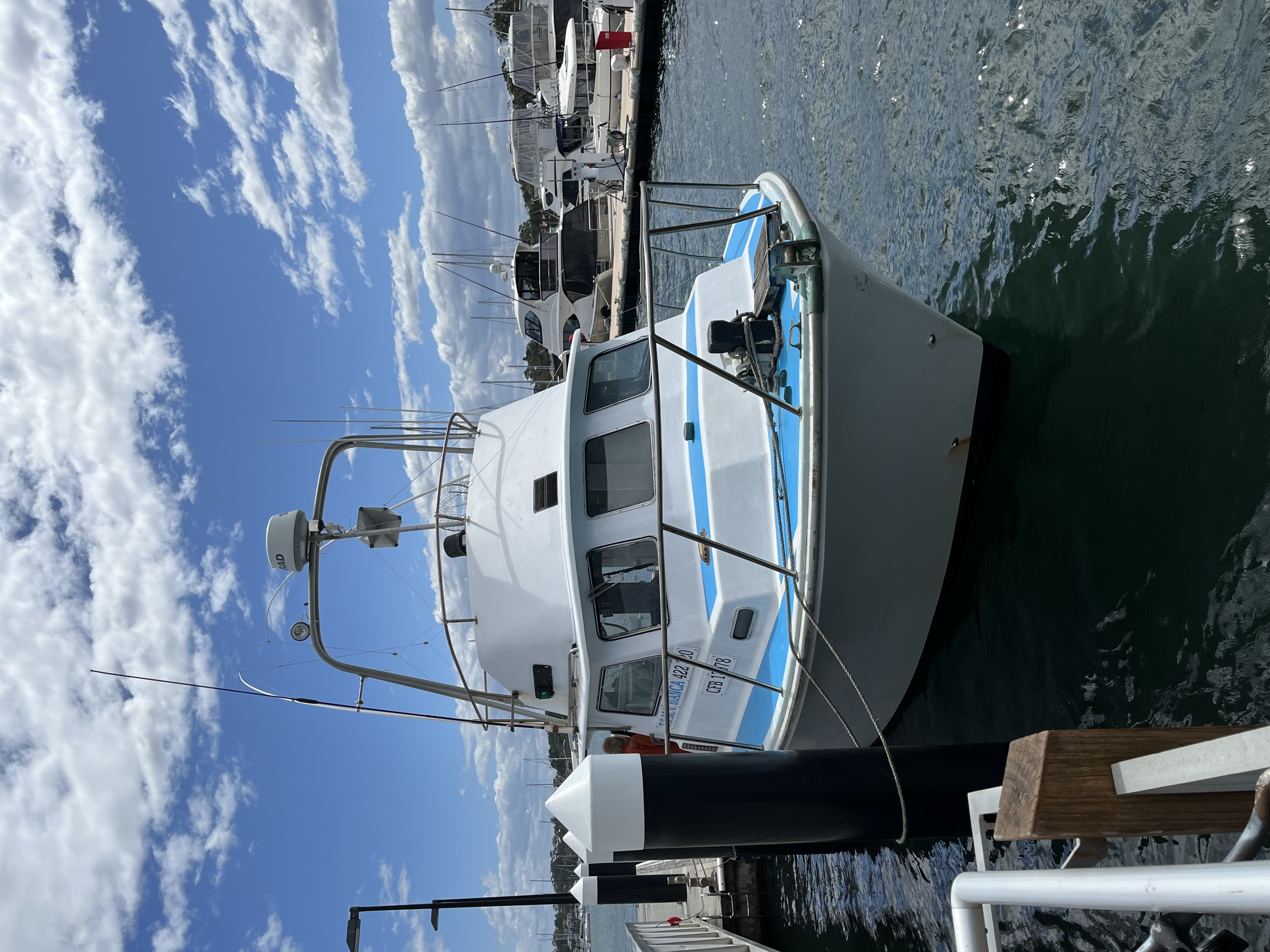 Copy of Full day reef and sport fishing