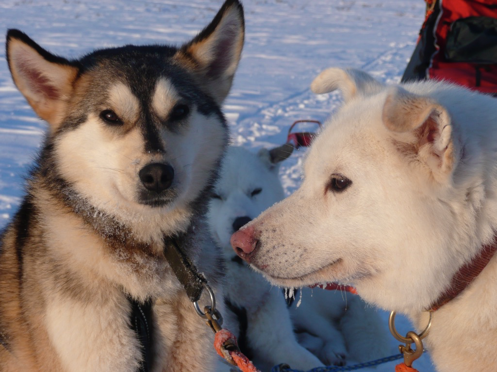 Half Day Tour Tiketi Reservations