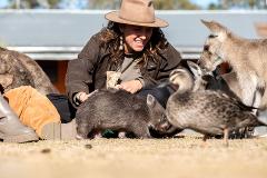 Wombat Walk