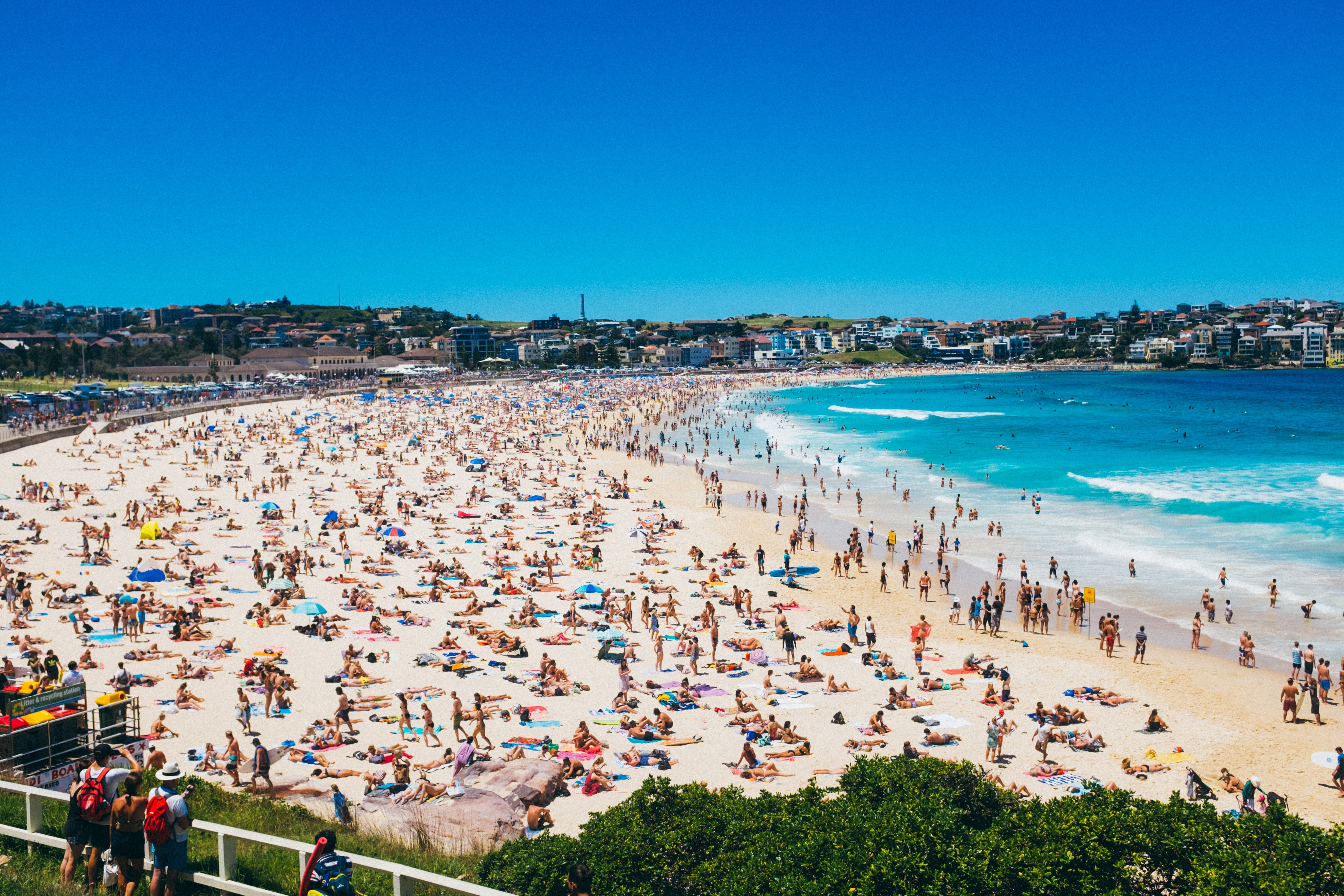 PRIVATE Bondi Beach, Opera House & Harbour Bridge, Ferry Experience and City