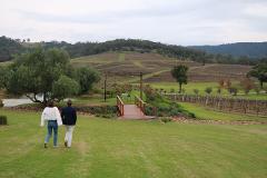 Sydney to Hunter Valley Day Trip (from $1095 for 2 - $200 per extra guest up to 14 guests)