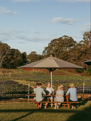 Wallabies & Wine: Moreton Bay Countryside, Winery & Brewery Tour