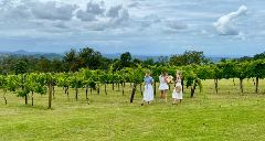 Hinterland Cheese & Wine Shared Tour