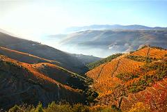 Awesome Douro Valley Luxury Private Tour for Scenery and Wine Lovers
