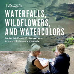 Wildflowers, Waterfalls, and Watercolors