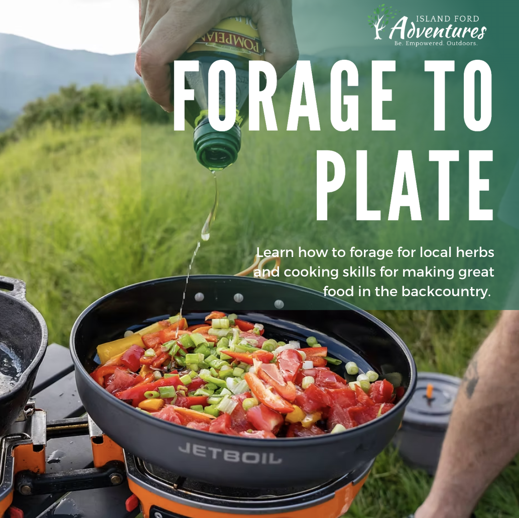 Backcountry Cooking: Forage to Plate Expereince (W/Optional Camping)