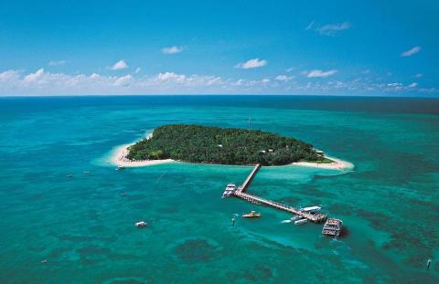 Green Island Reef Tour Half Day