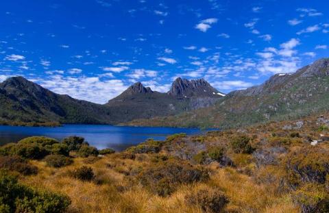 Cradle Mountains Day Tour