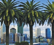 Perth Morning Day Tours