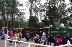 Puffing Billy & Afternoon City Tour
