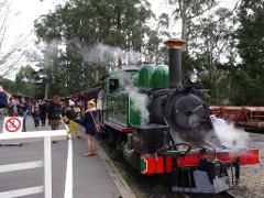Puffing Billy with Blue Dandenong