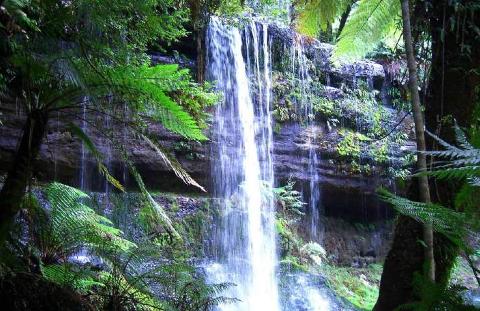 Russell Falls Day Tour