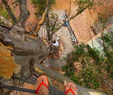 Valley Of the Giants Day Tours