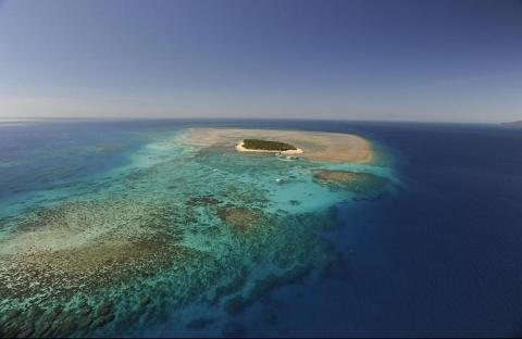 Green Island Reef by Big Cat - Full Day Tour