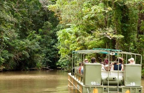 Daintree Wilderness overnight