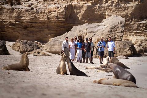Kangaroo Island Day Tour