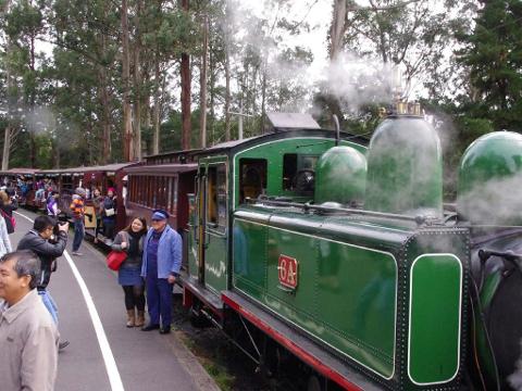 Puffing Billy with Australian Wildlife & Lunch
