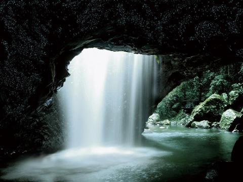 Glow Worm & Natural Bridge Night Tour