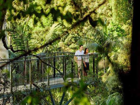 O'Reilly's and Lamington National Park Ex Brisbane or Gold Coast