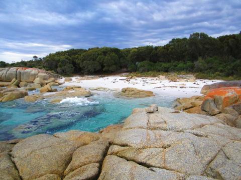 Bay of Fires Day Tour