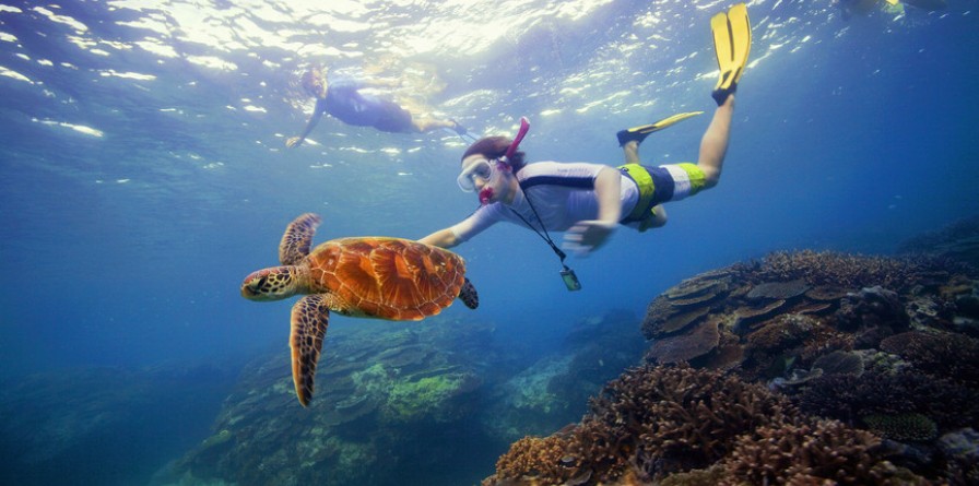 Discover Cairns - 6 Days